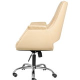 Elegant Adjustable Pedicure Chair P21