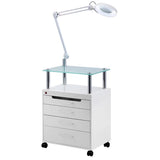 Beauty Salon Trolley with Stool, LED Cold Light Lamp & UV Ozone Disinfection Cabinet
