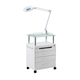 Beauty Salon Trolley with Stool, LED Cold Light Lamp & UV Ozone Disinfection Cabinet