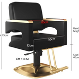 LuxLift Stainless Steel Beauty Chair – Premium Rotating & Lifting Armchair LS22