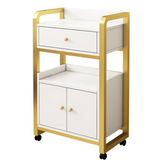 StyleRide Salon Trolley – Hair Styling Station on Wheels ST19
